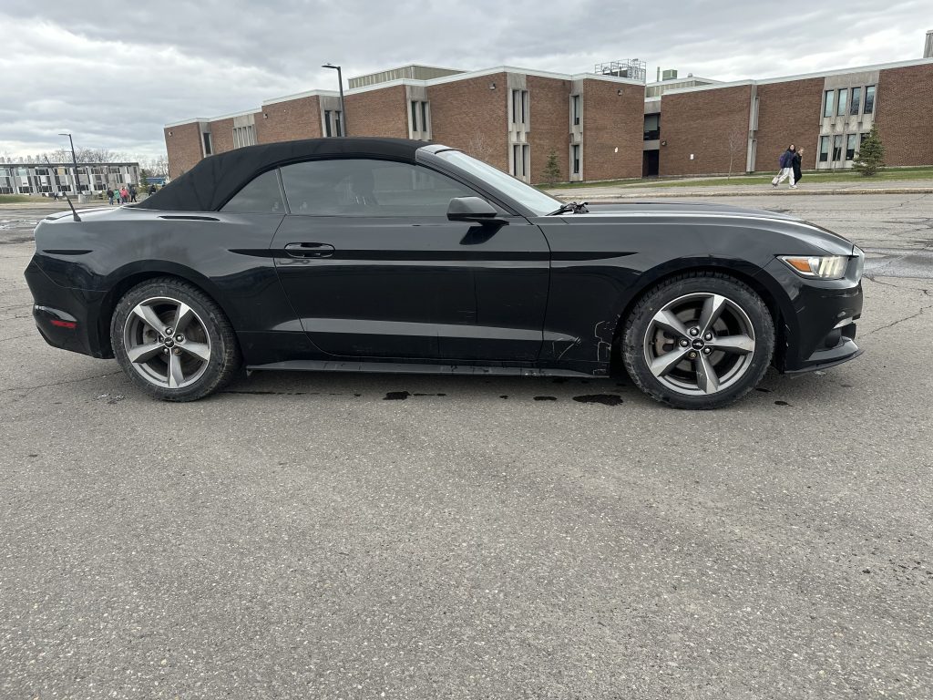 2015 Ford Mustang – photo 5