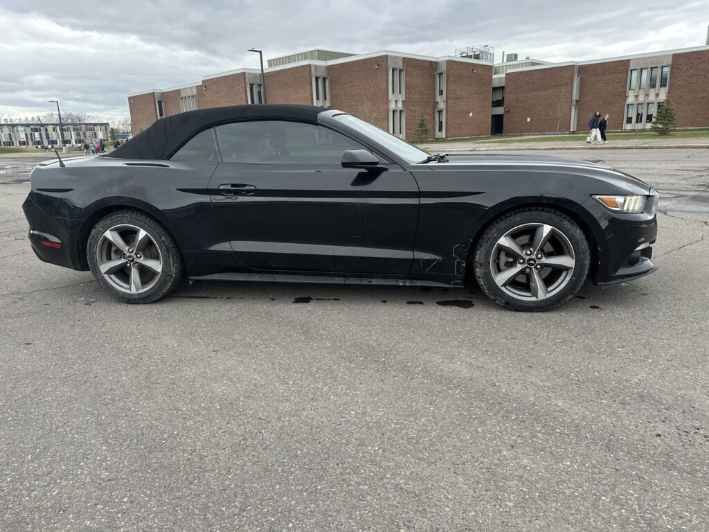 2015 Ford Mustang – photo 13